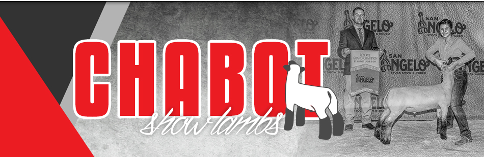 Chabot Show Lambs